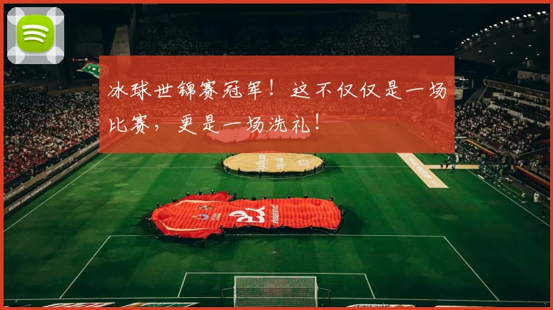 冰球世锦赛冠军！这不仅仅是一场比赛，更是一场洗礼！